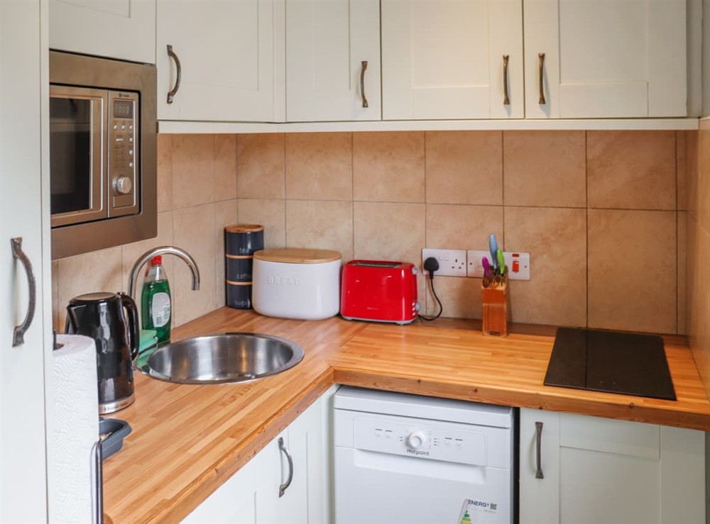 Kitchen at Blaenffynnon Fach in Clydey, near Llanfyrnach, Dyfed