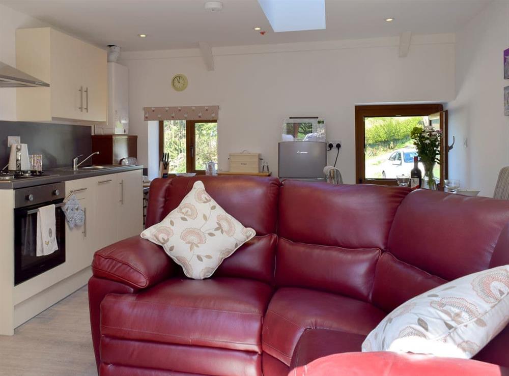 Open plan living space (photo 3) at Hen Llaeth, 