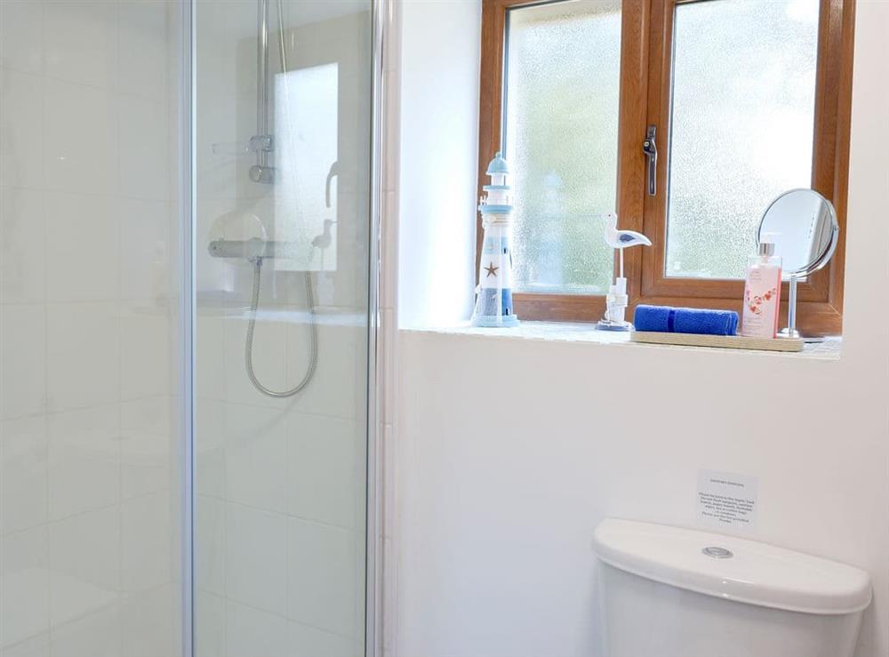 Shower room (photo 2) at Hen Llaeth, 