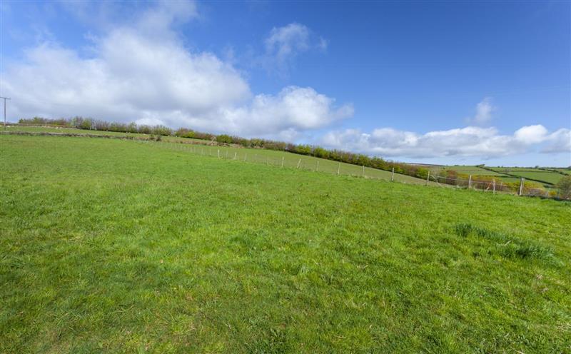 The setting around Blagdon Cottage