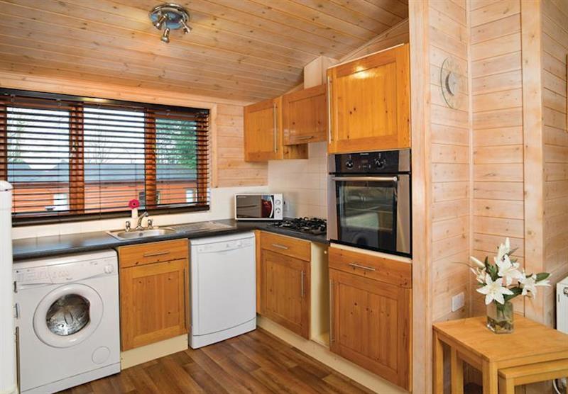 Larches Deluxe 4 Lodge (photo number 9) at Blairgowrie in Blairgowrie, Perthshire, Perthshire & Southern Highlands