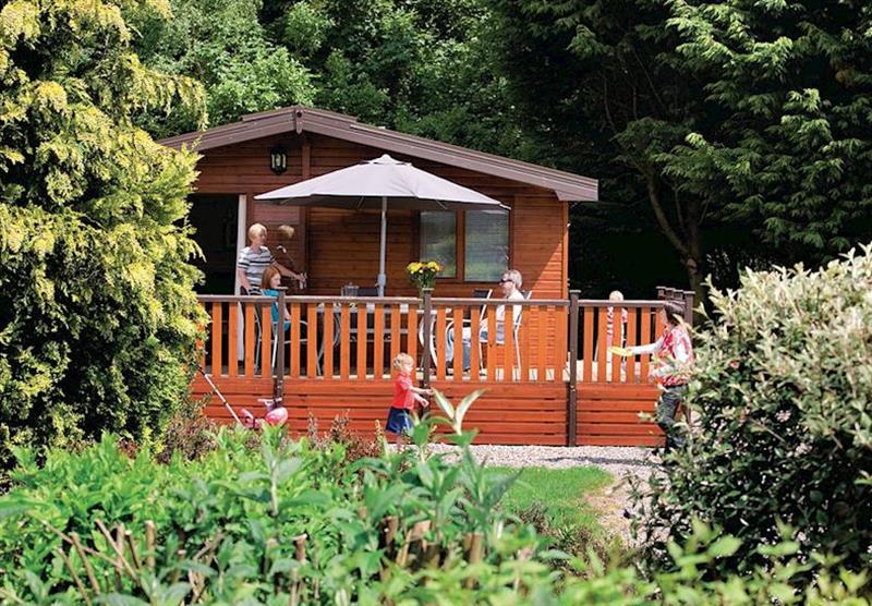 Rowans Deluxe Skyline Lodge at Blairgowrie in Blairgowrie, Perthshire, Perthshire & Southern Highlands