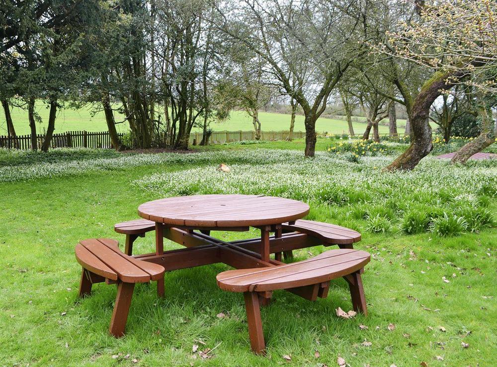 Charming picnic style outdoor eating area at Blaithwaite Stables, 