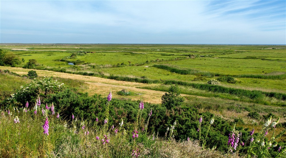 A view across the lush green scenery of Blakeney Freshes at Blakeney Lodge in Blakeney, Norfolk
