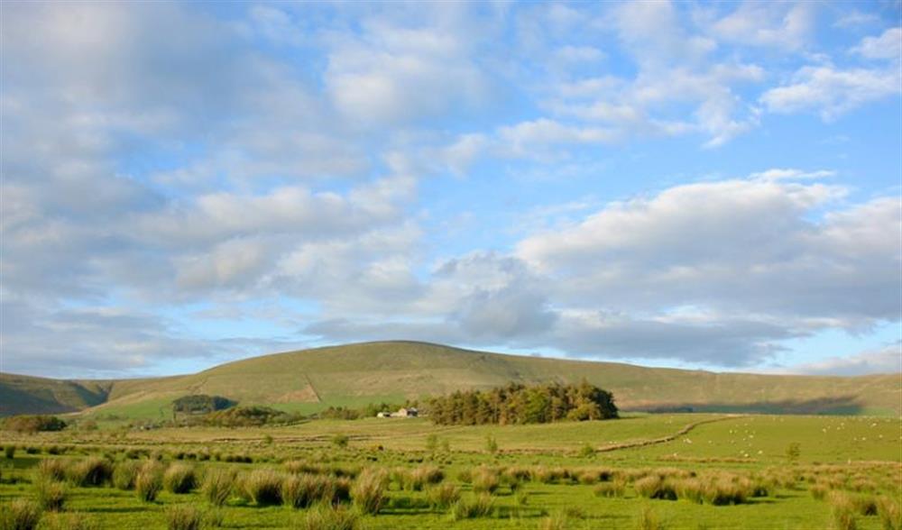 Lantern and Larks site, Bleasdale