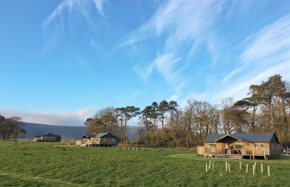 Lantern and Larks site, Bleasdale