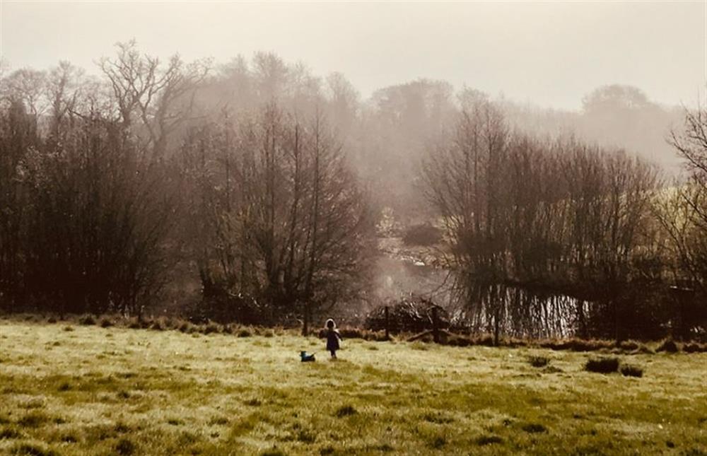 Lantern and Larks site, Bleasdale