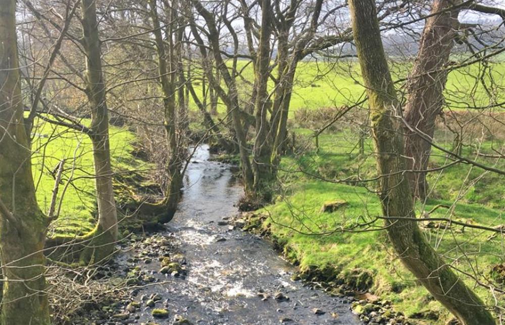 Lantern and Larks site, Bleasdale