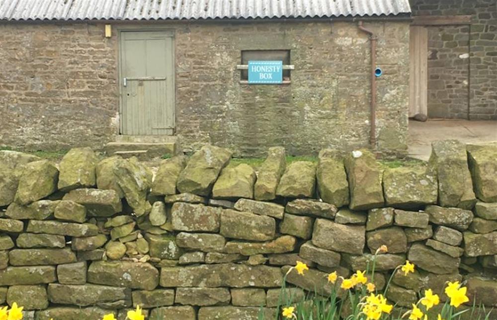 Lantern and Larks site, Bleasdale