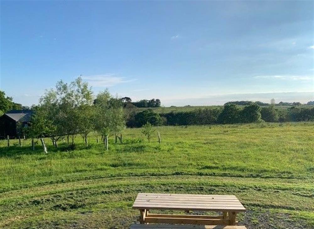 Lantern and Larks site, Bleasdale