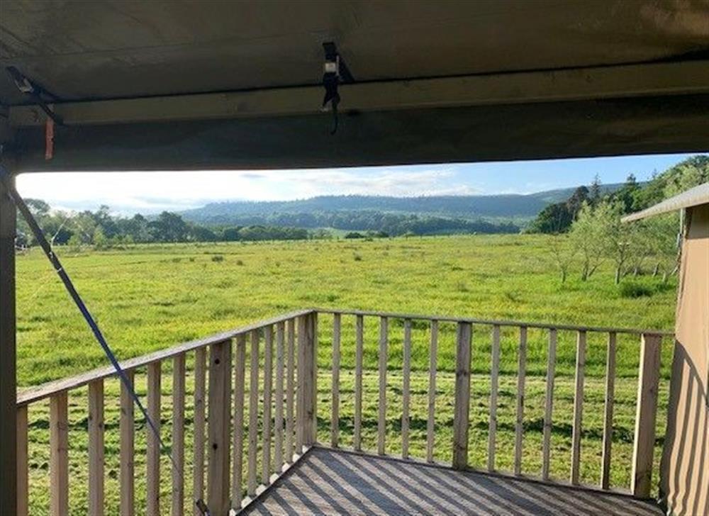 Lantern and Larks site, Bleasdale