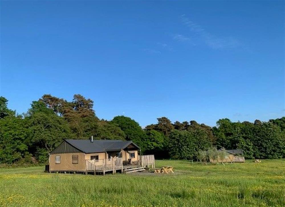 Lantern and Larks site, Bleasdale