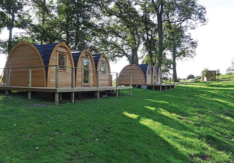 The pods at Blossom Plantation Pods in Chathill, Nr Alnwick