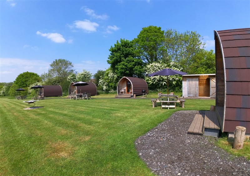 The garden at Blossom, Welland