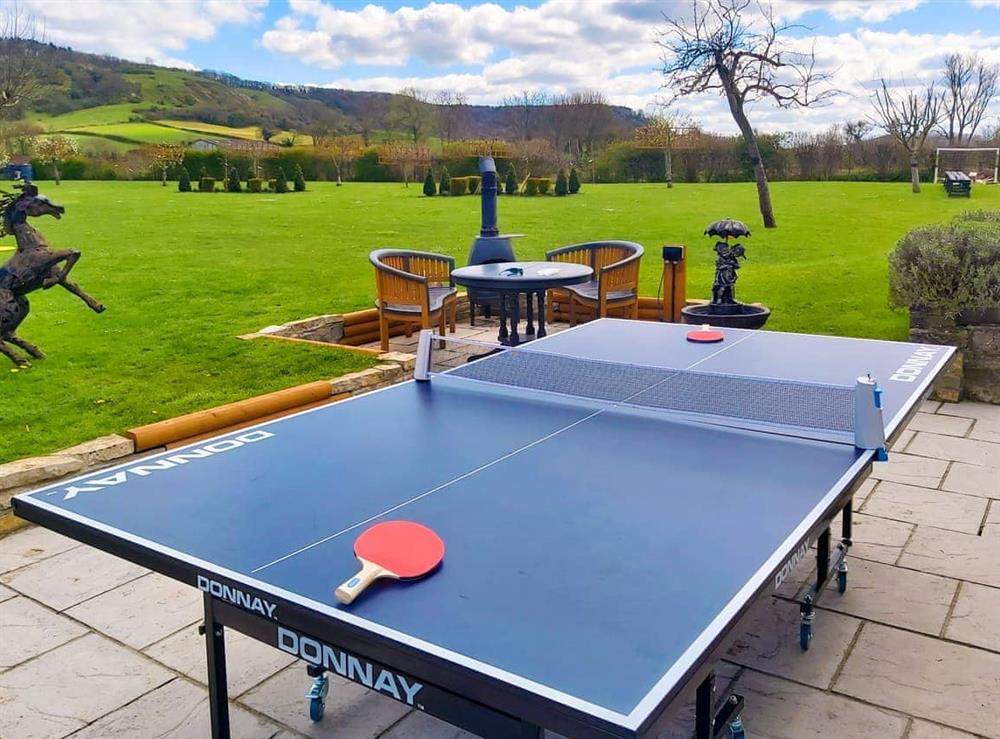 Table tennis at Blue Bell House in Compton Dundon, Somerset