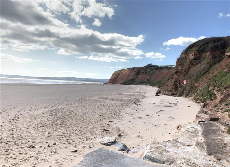 The setting at Blue Drift, Budleigh Salterton