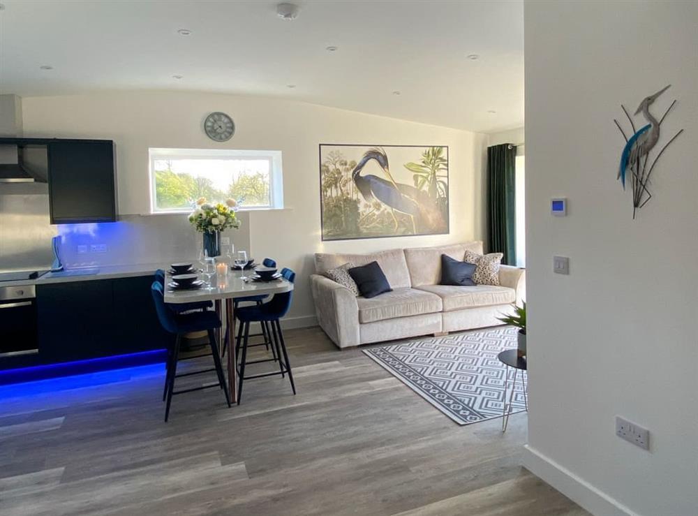Open plan living space at Blue Heron Lodge in Kirkby Stephen, Cumbria