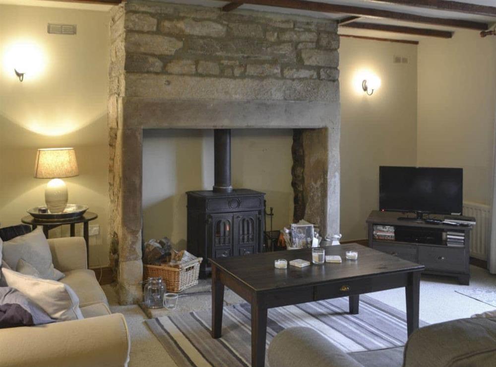 Cosy living room with wood burner at Blue House Cottage in Elsdon, Northumberland., Tyne And Wear