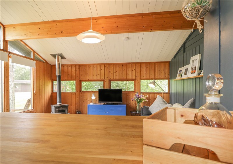 Relax in the living area at Blue Pine Lodge, Dornoch