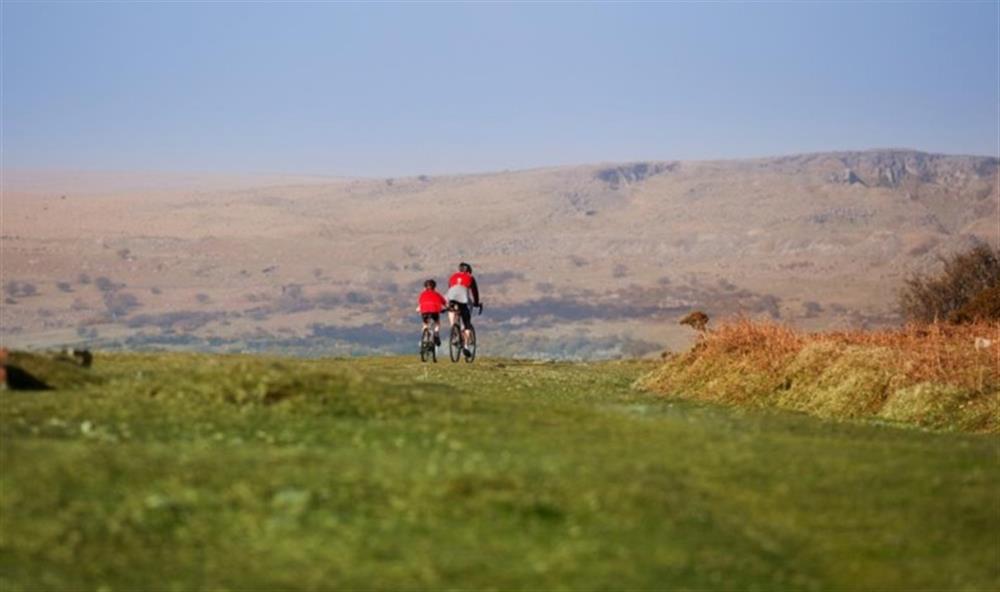 Cycling on Dartmoor.