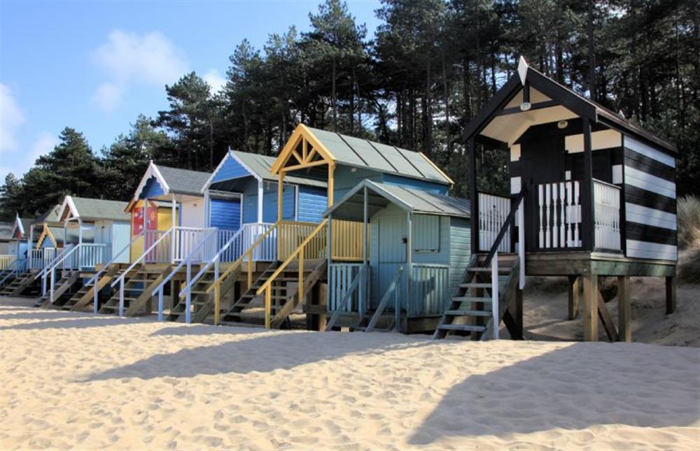 Wells beach hut lined sandy beach at Blue Sky, Wells-next-the-Sea