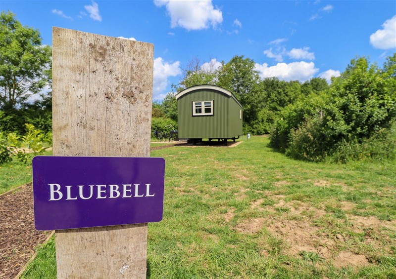 Enjoy the garden at Bluebell, Ashby-cum-Fenby near Waltham
