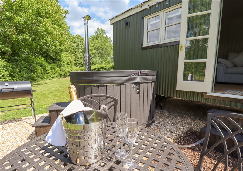 This is the setting of Bluebell at Bluebell, Ashby-cum-Fenby near Waltham