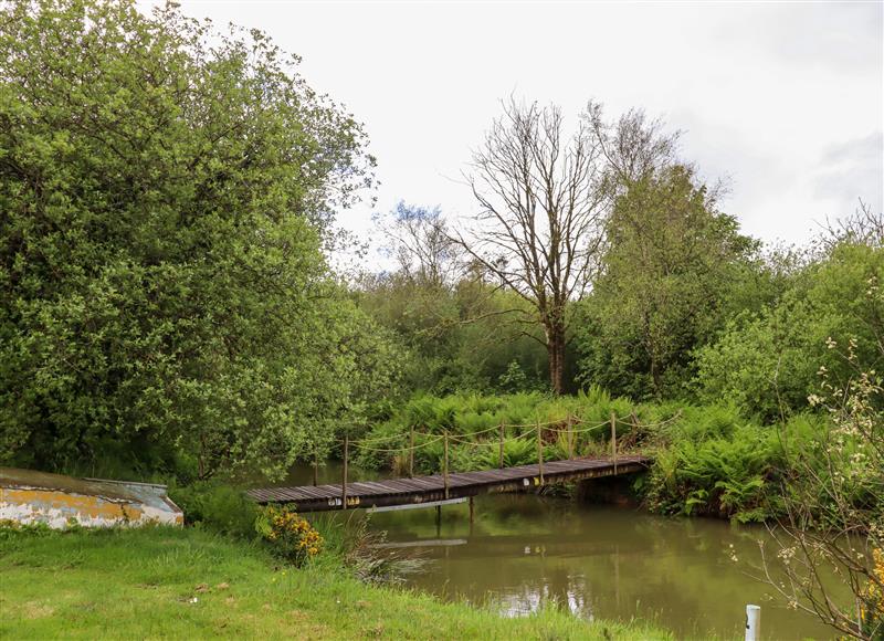 The area around Bluebell at Moorhead Country Holidays