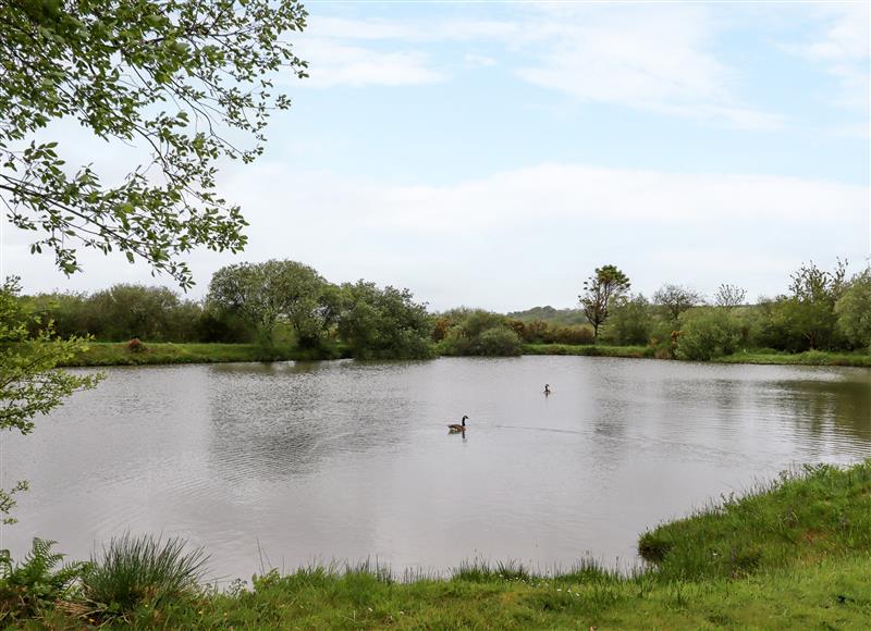 The setting of Bluebell at Moorhead Country Holidays