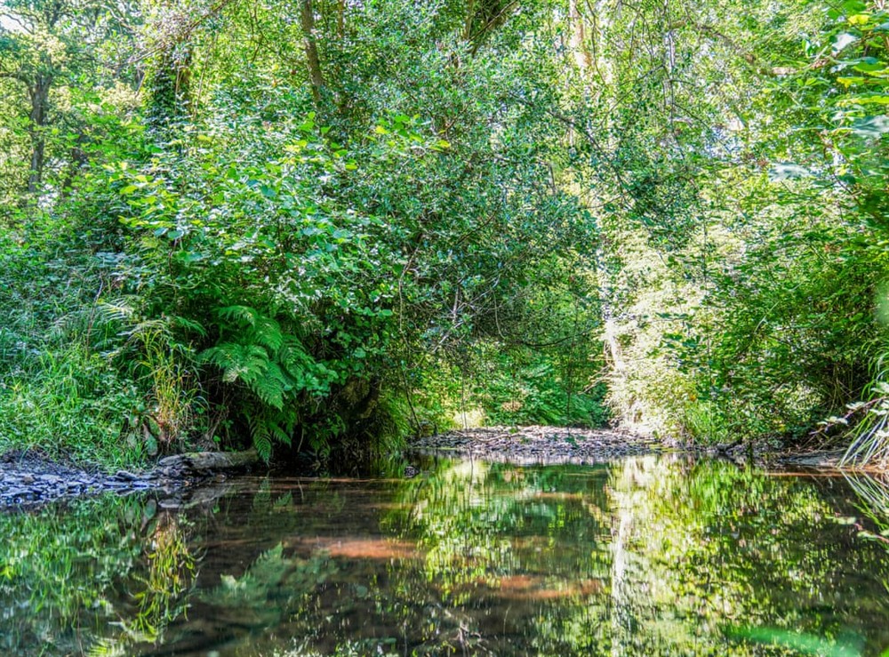 Surrounding area at Bluebell Lodge in Hittisleigh, Devon