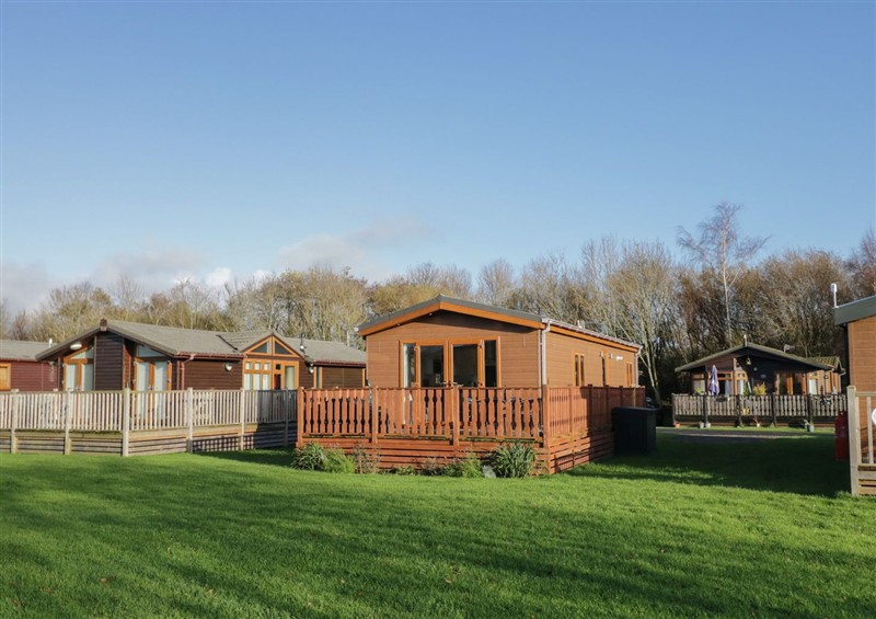The garden at Bluebell Lodge, Warton