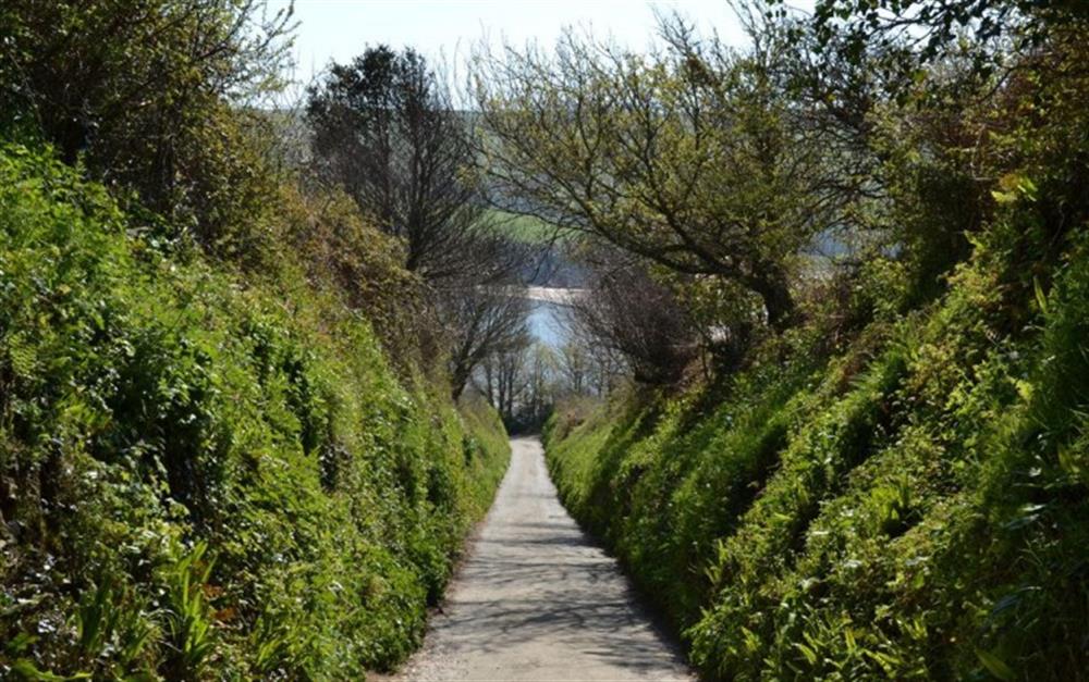 Narrow country lanes leading to wonderful beaches! at Bluegate Barn in Modbury