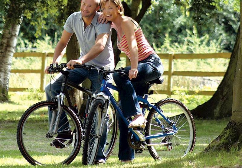 Cycling within easy reach at Bluewood Lodges in Oxfordshire, Heart of England