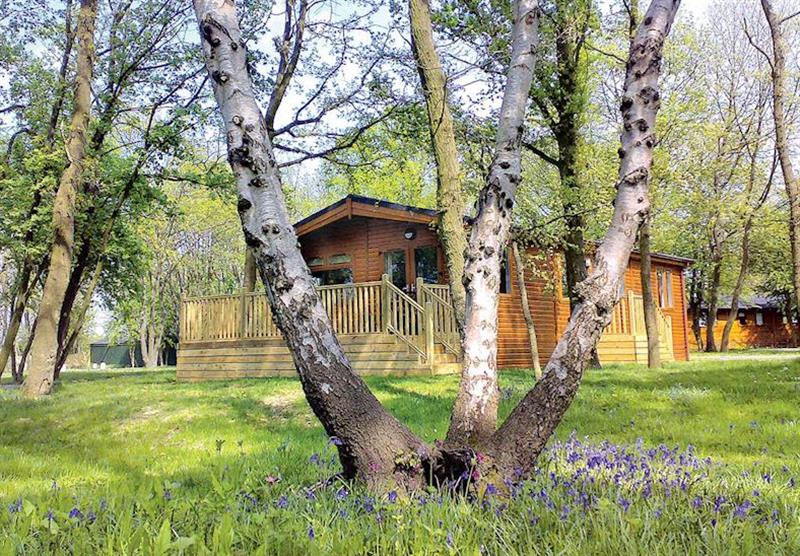 Kingham Lodge (photo number 22) at Bluewood Lodges in Oxfordshire, Heart of England