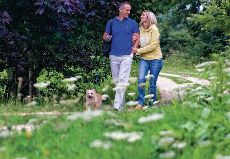 The tranquil setting at Bluewood Lodges in Oxfordshire, Heart of England