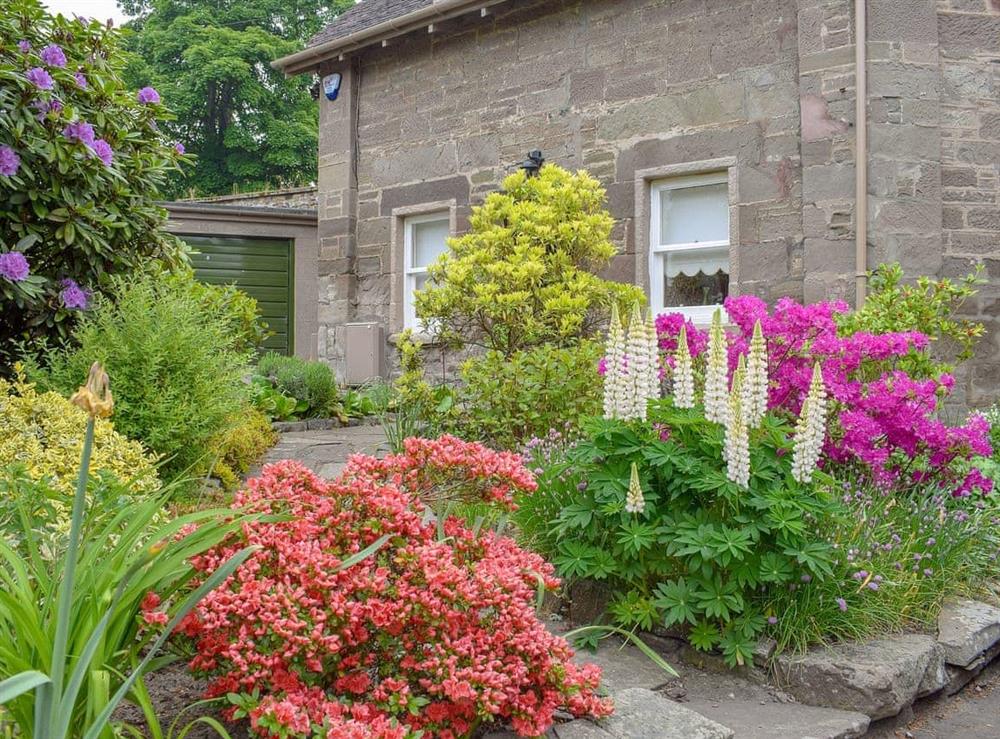 Exterior at Boatland Cottage in Perth, Perthshire