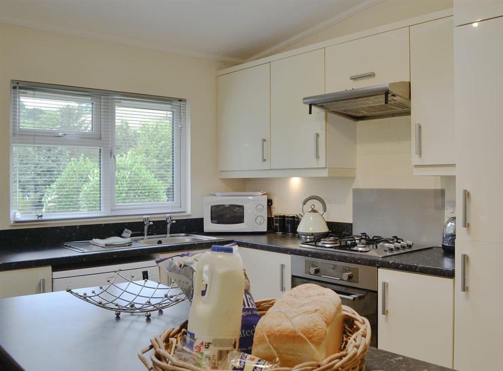 Well equipped kitchen area at Ferry Lodge, 