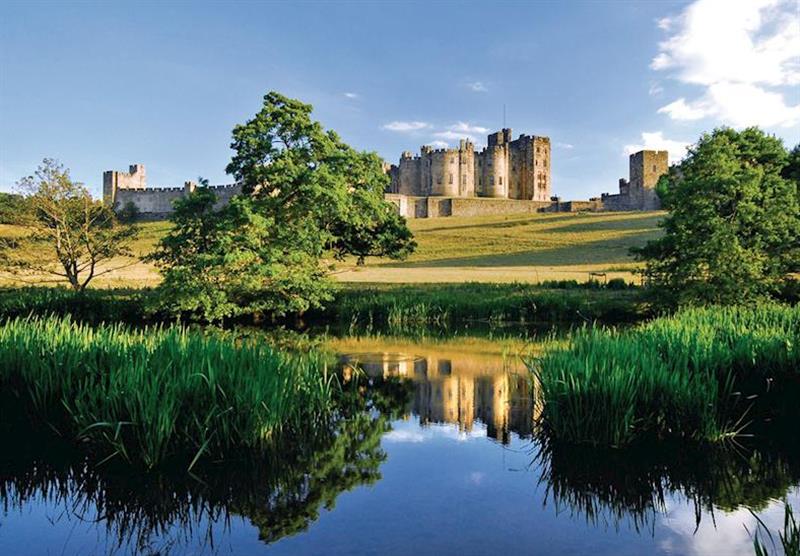 Alnwick Castle at Bockenfield Country Park in , Northumberland