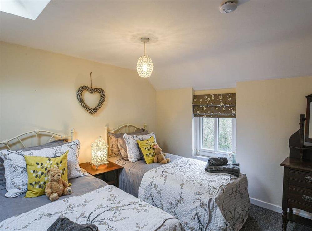 Twin bedroom at Bodeinion in Llanfair Caereinion, Powys