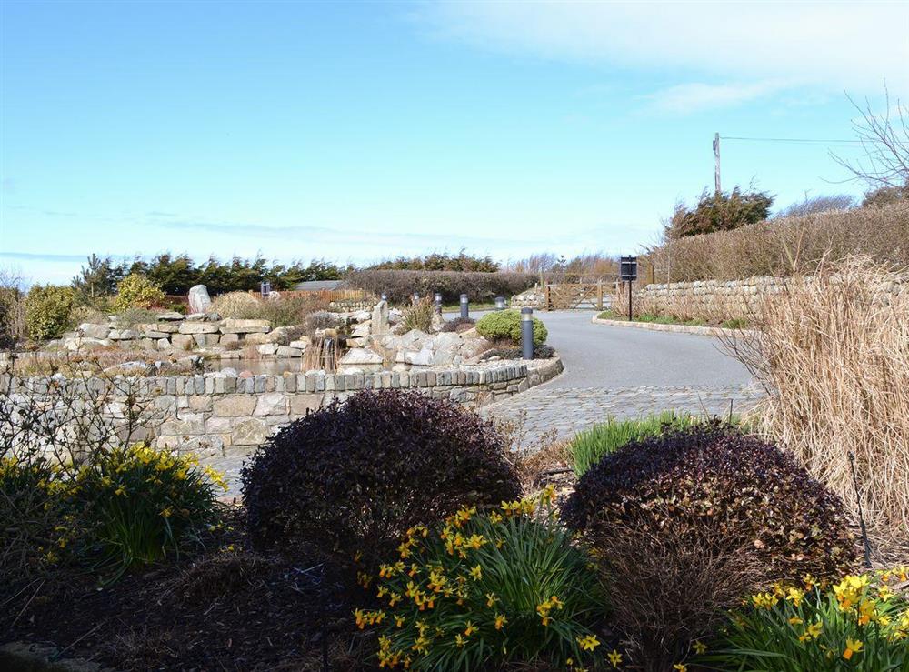 Driveway at Bodrydd,