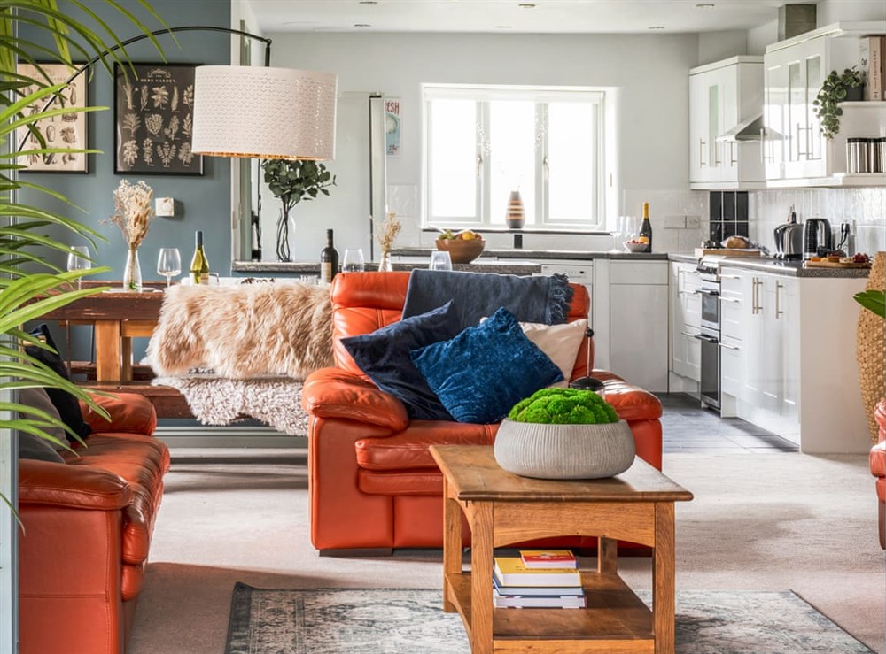 Open plan living space at The Manor, 