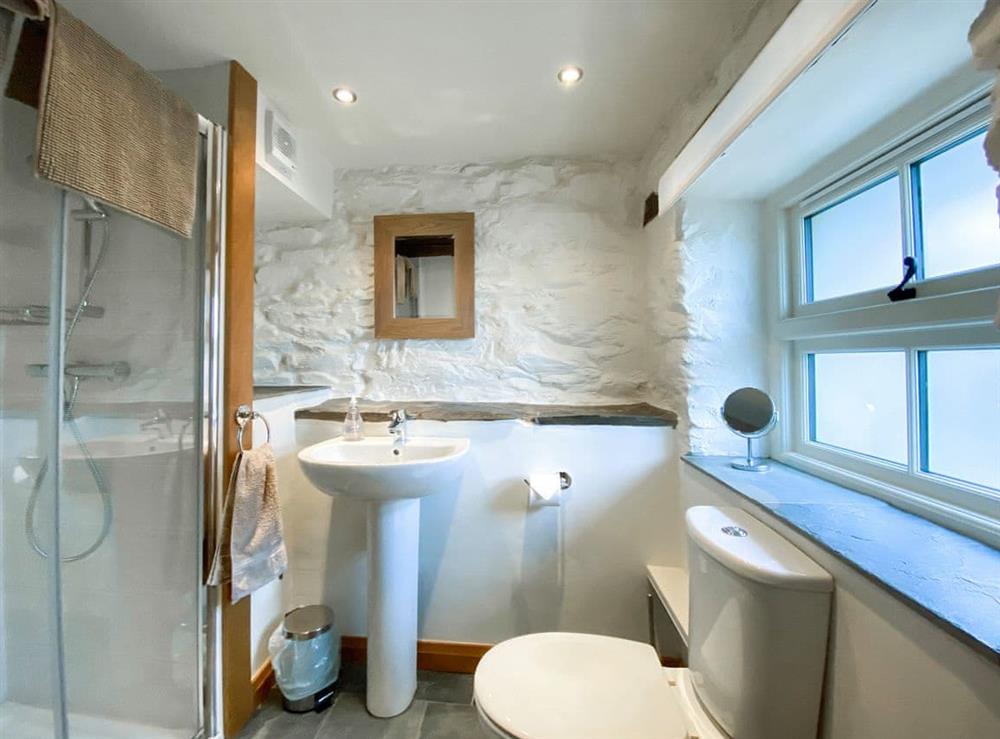 Shower room at Bogle Barn in Satterthwaite, near Coniston, Cumbria