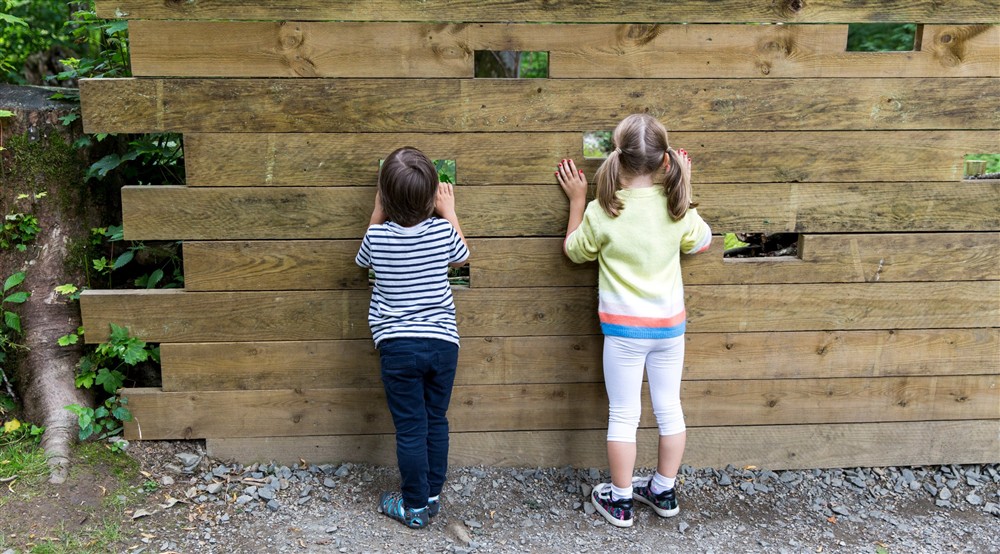 Children looking through gaps in the Little Acorns nature play space at Bolt Cottage in Morpeth, Northumberland