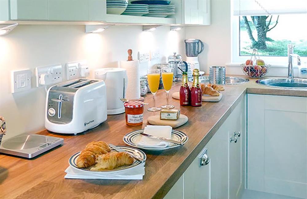 The bespoke kitchen at Bolthole Cabin, Dartmouth