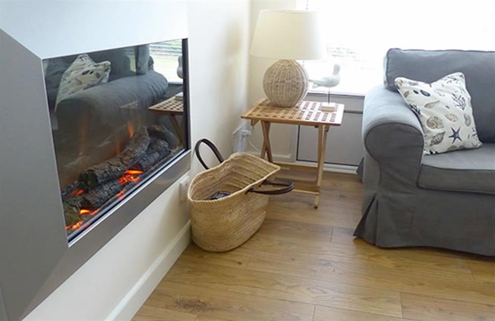 The flame effect fire for those chilly evenings at Bolthole Cabin, Dartmouth