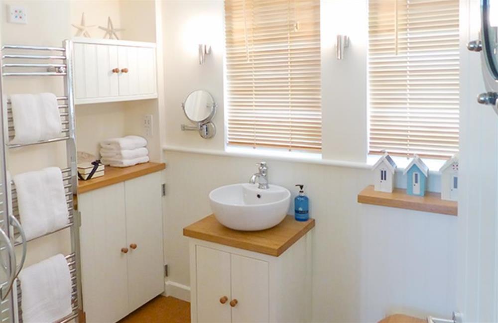 The luxurious shower room at Bolthole Cabin, Dartmouth