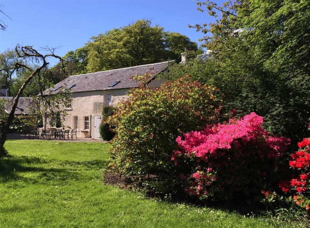 Charming holiday home with well-maintained garden at Holly Cottage, 