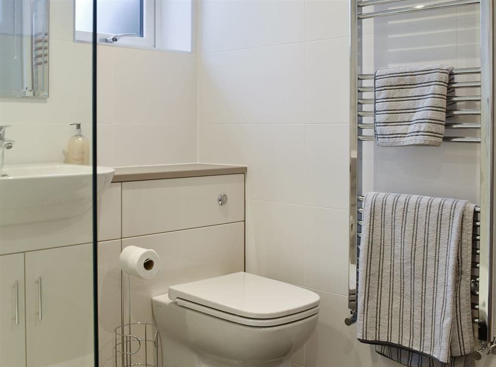 Shower room with heated towel rail at Threagill Cottage, 