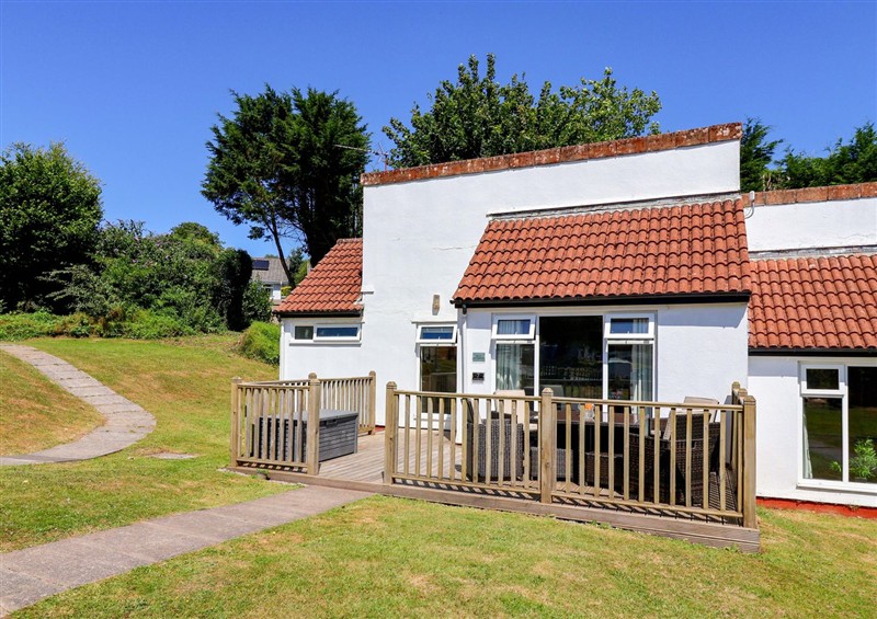 The garden at Boos Bungalow, Callington near Gunnislake
