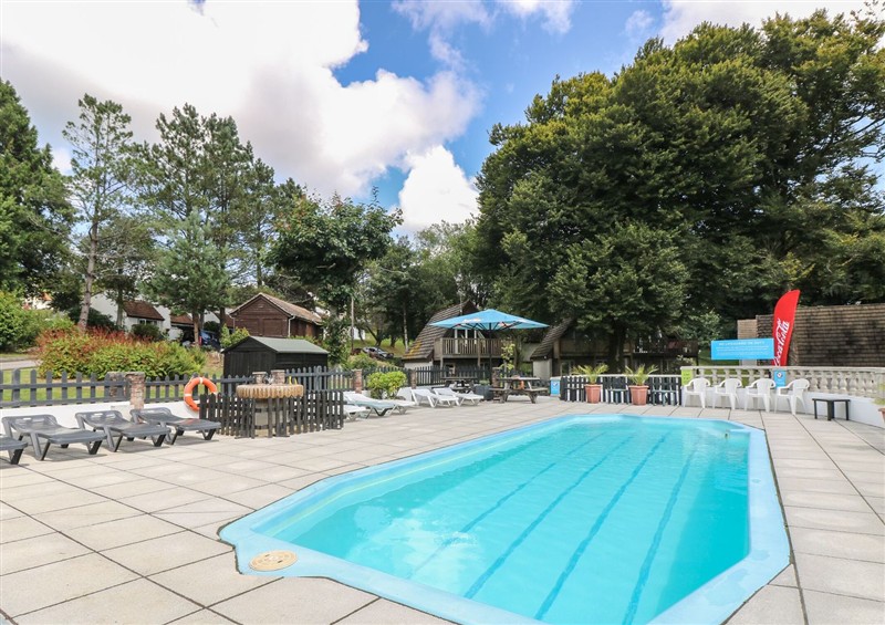There is a swimming pool at Boos Bungalow, Callington near Gunnislake